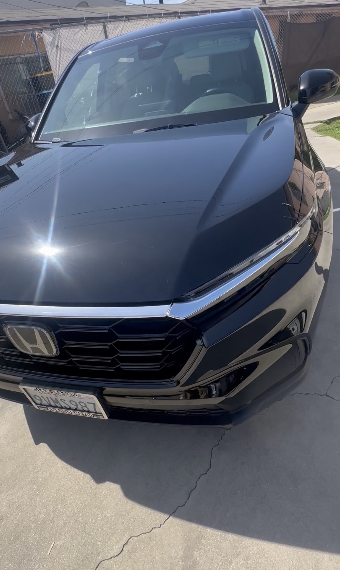 Vehicle exterior after detailing