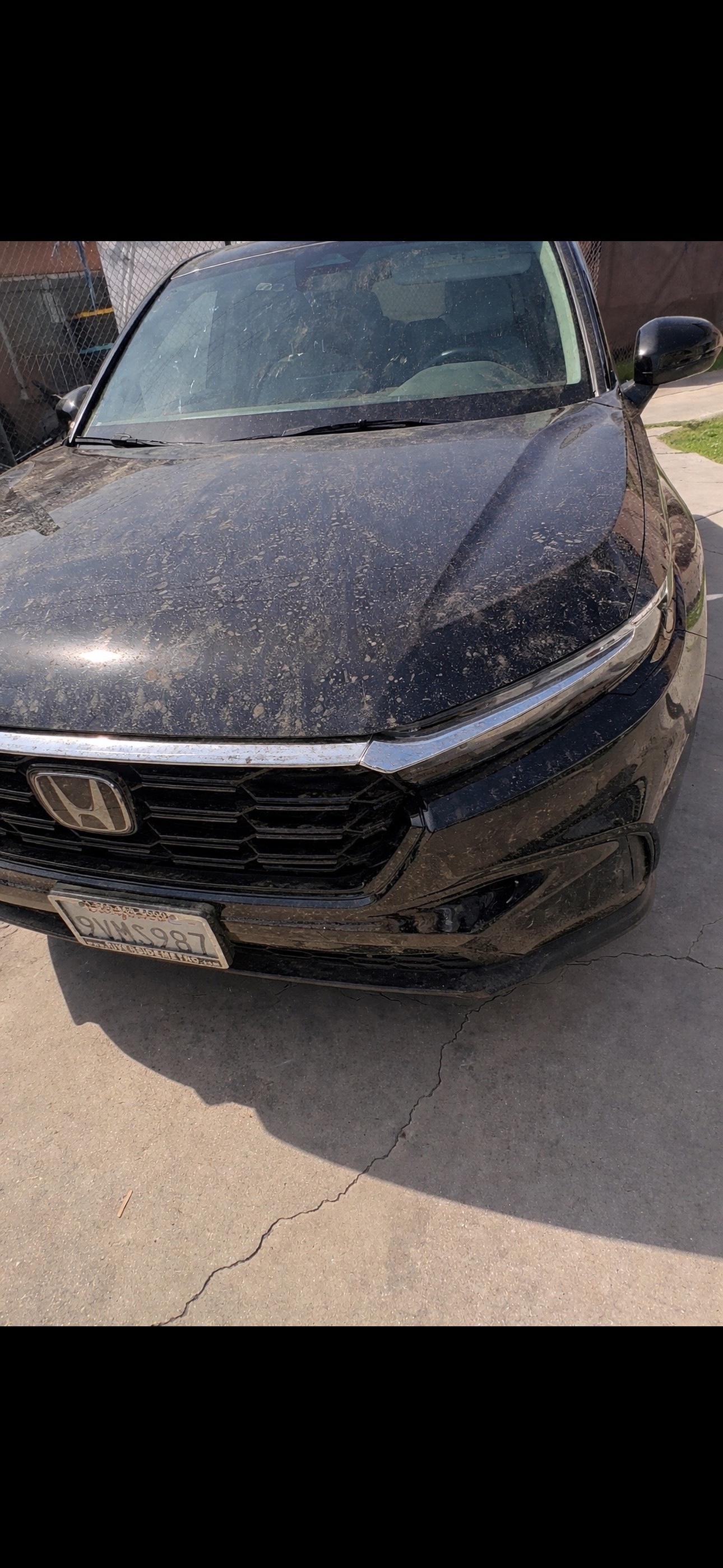 Vehicle exterior before detailing